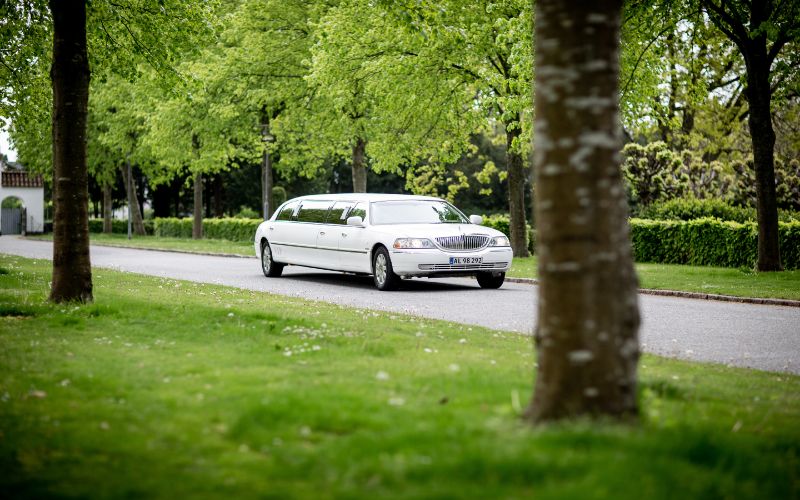 Cost of Shipping A Limousine - Transparent and Cost-Effective with Shelby