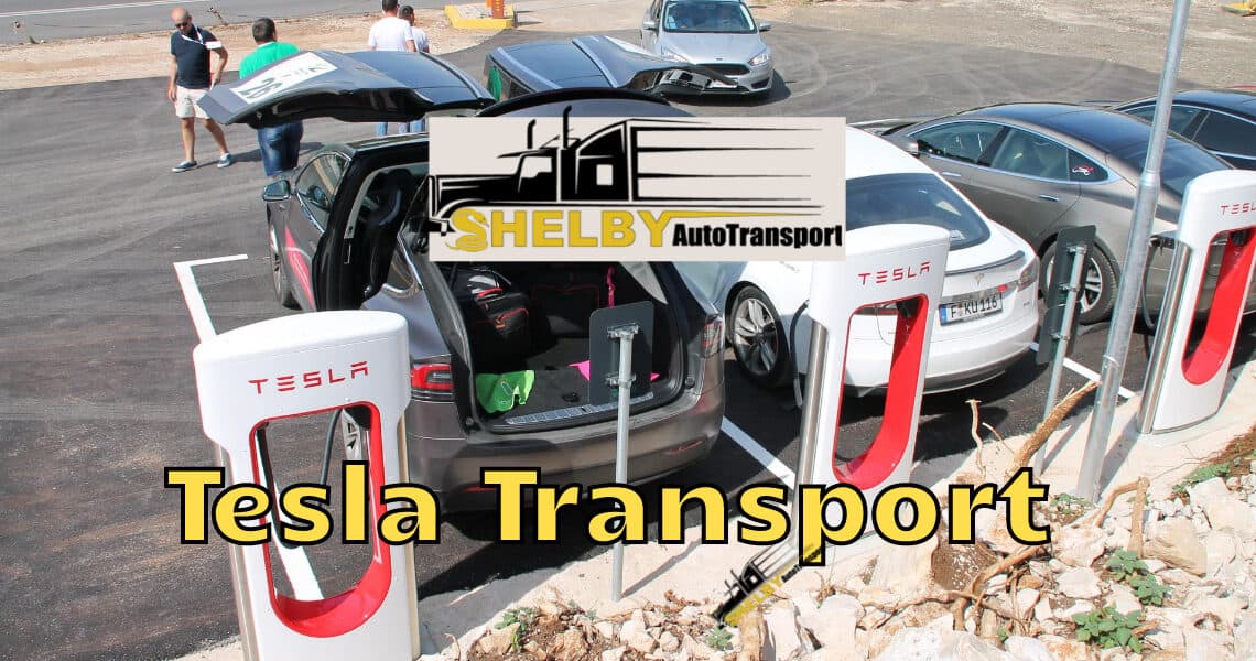 Tesla Transport