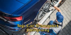 Top Car Transport Company: